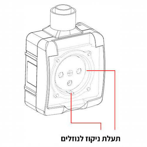 תמונת המוצר