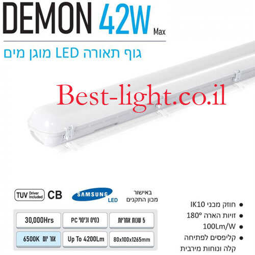 תמונת המוצר