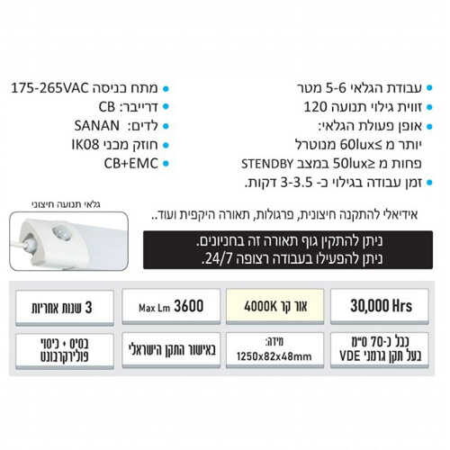 תמונת המוצר